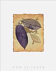 Leaf Lines I by Don Li-Leger